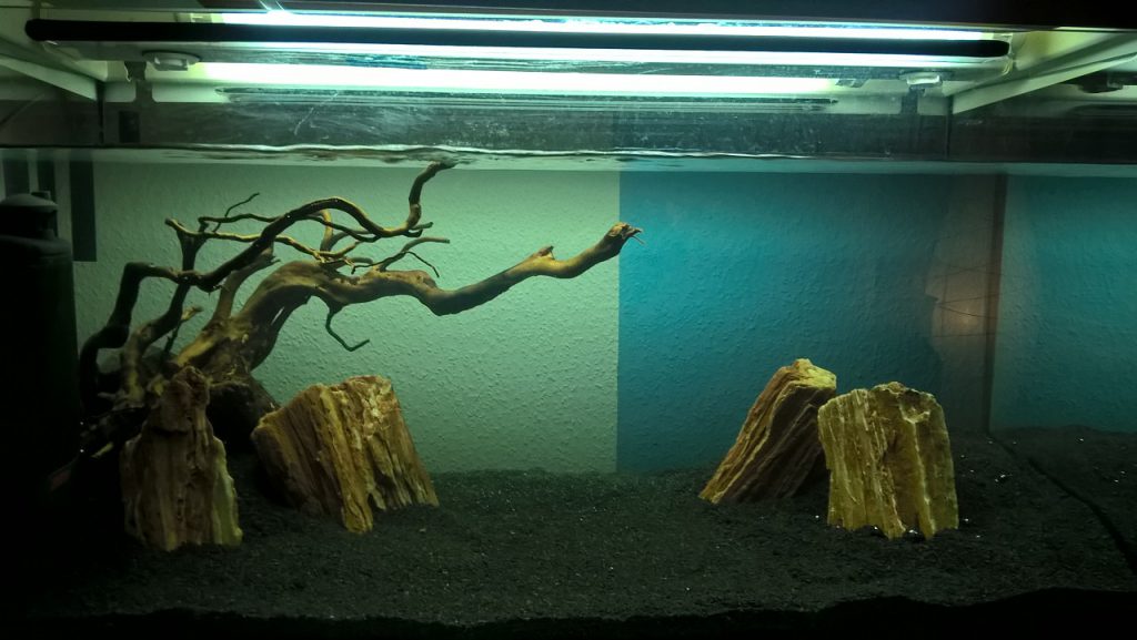 20160522 SW2 Hardscape