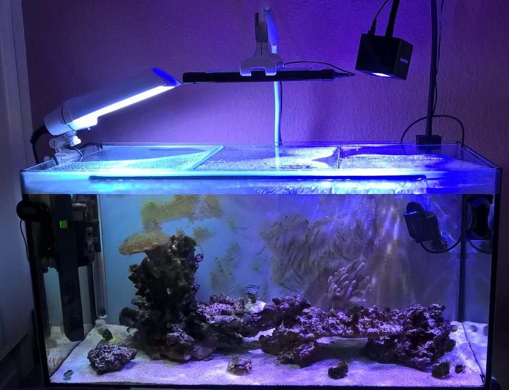 20170413 MW